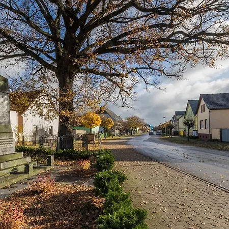 Отель Spreewaldhotel Garni Raddusch 2*