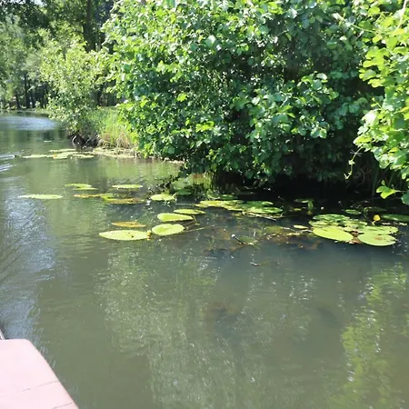 Spreewaldhotel Garni Raddusch Отель 2*