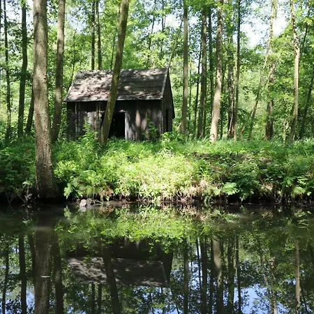 Отель Spreewaldhotel Garni Raddusch Фечау