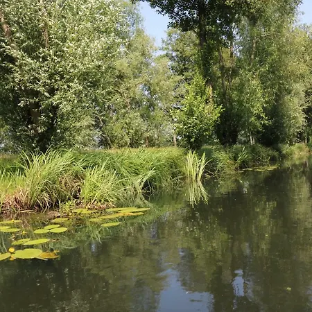 Hotel Spreewaldhotel Garni Raddusch Vetschau