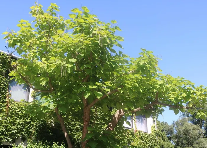 Spreewaldhotel Garni Raddusch