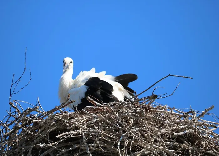 Spreewaldhotel Garni Raddusch