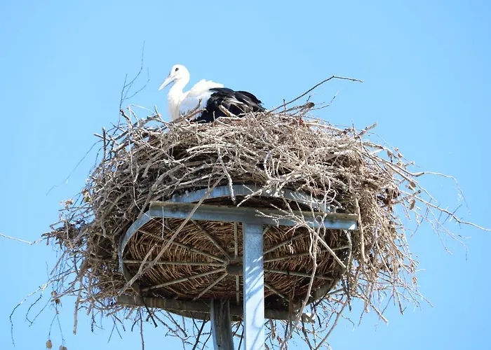 Spreewaldhotel Garni Raddusch Hotel