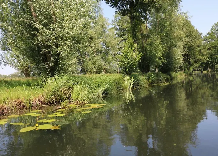 Hotel Spreewaldhotel Garni Raddusch Vetschau